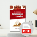 Je maîtrise la conjugaison arabe (ebook PDF)